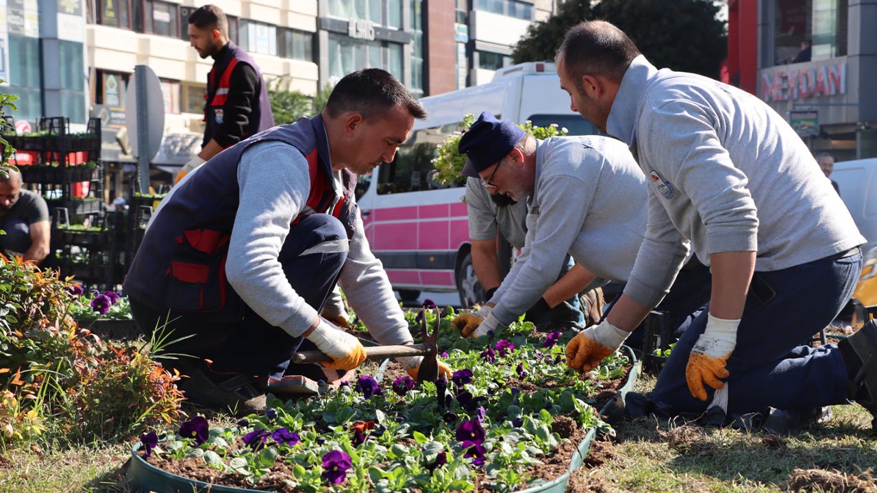 Yalova Belediye Mevsimlik Cicek Dikim Haber (4)