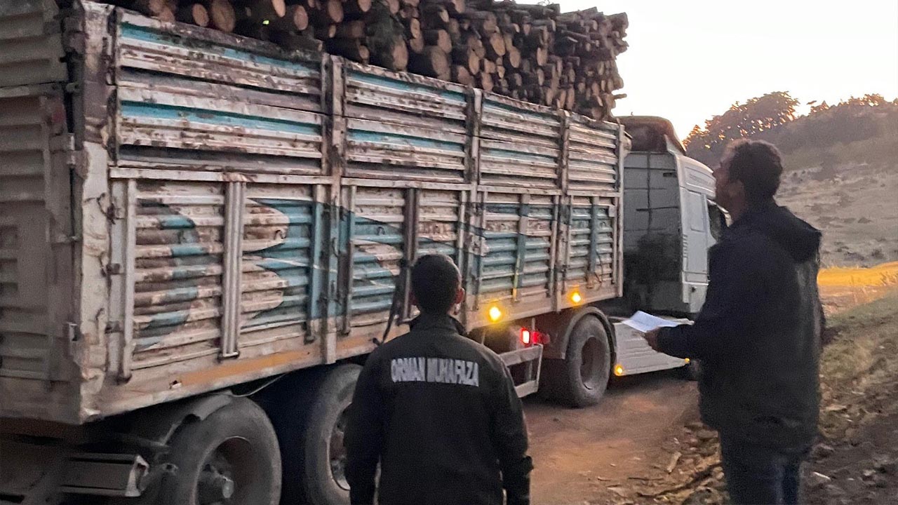 Yalova Bursa Orman Mudurluk Ekipler Bilecek Denetim (3)