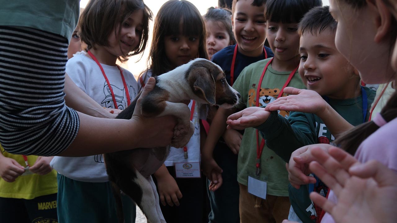 Yalova Ciftlikkoy Belediye Hayvan Bakimevi Minikler Koruma Gun Ziyaret (1)