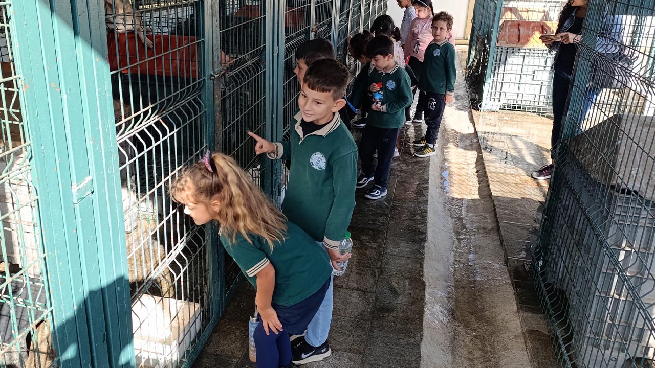 Yalova Cinarcik Ogrenci Ilkokul Dunya Hayvanlari Koruma Gun Merkez Ziyaret (3)