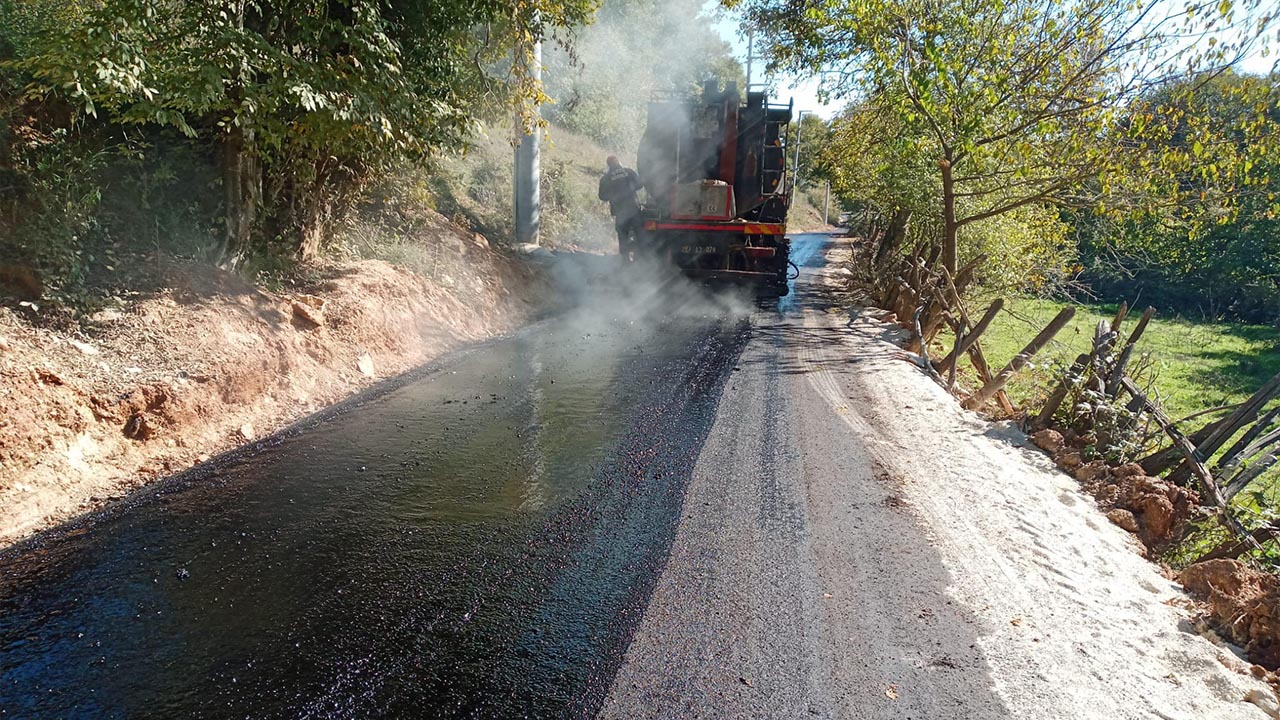 Yalova Guneykoy Sathi Kaplama Il Ozel Idare (3)