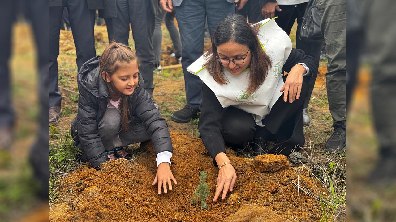 Yalova 11 Kasim Milli Agaclandırma Fidan Dikim (1)