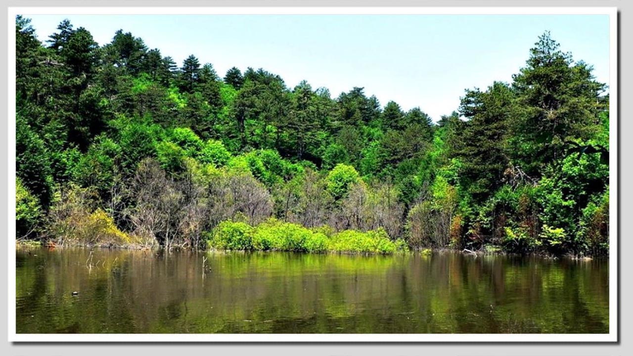 Yalova Dipsiz Gol Kamp Piknik Turizm (4)