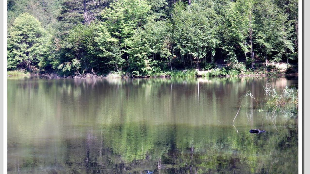 Yalova Dipsiz Gol Kamp Piknik Turizm (7)