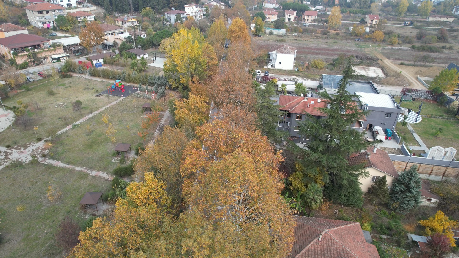 Yalova Termal Cinarli Hiyaban Turizm Dogal Guzellik (5)