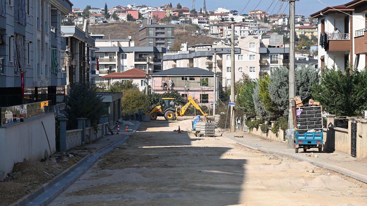 Yalova Belediye Mese Sokak Modern Estetik Gorunum (5)