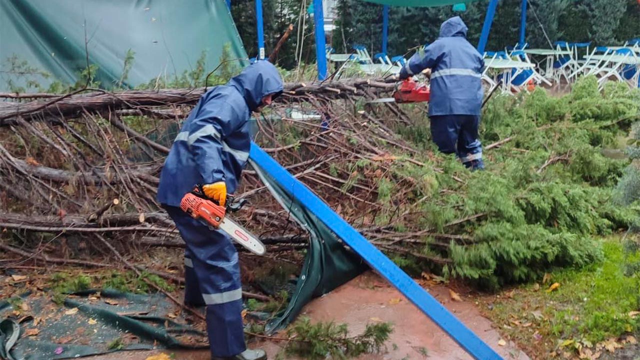 Yalova Belediye Siddetli Firtina Agac (1)