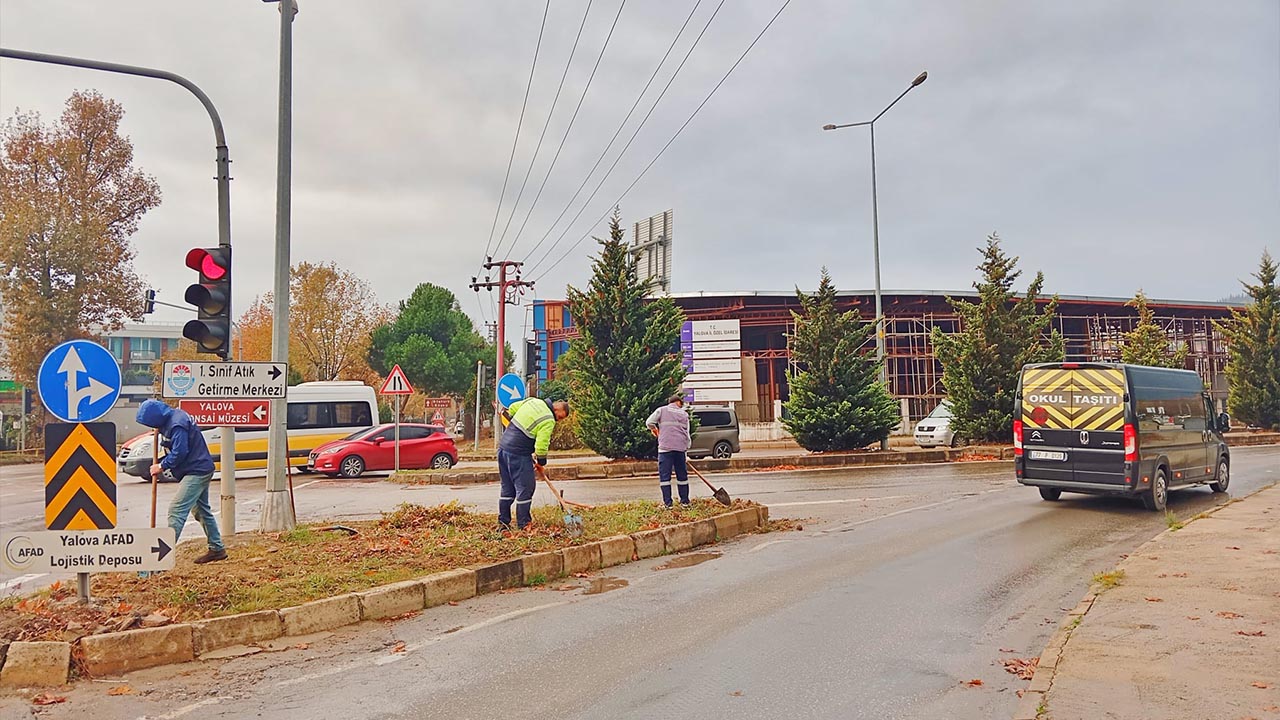 Yalova Belediye Temizlik Isleri Mudurlugu Yaprak Temizleme Sonbahar (2)