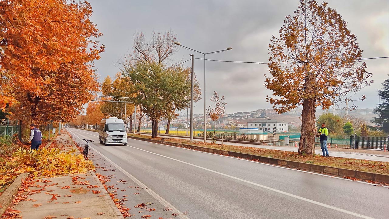 Yalova Belediye Temizlik Isleri Mudurlugu Yaprak Temizleme Sonbahar (3)