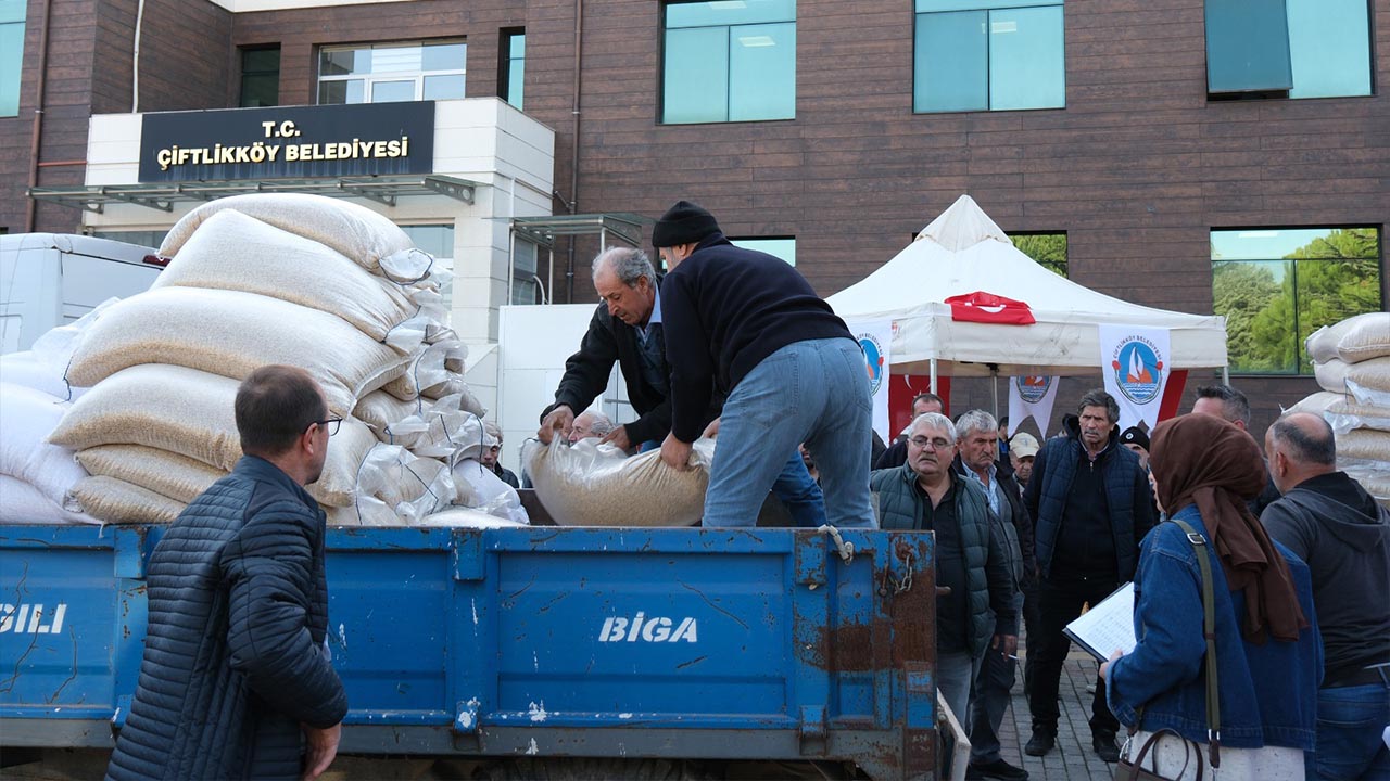 Yalova Ciftlikkoy Belediye Tohum Tarim Destek (4)