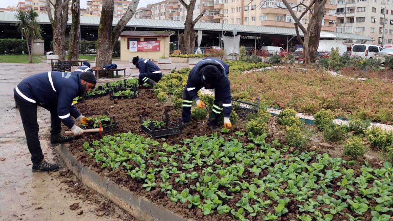 Yalova Belediye Payzaj Kisa Hazirlik Calisma (4)