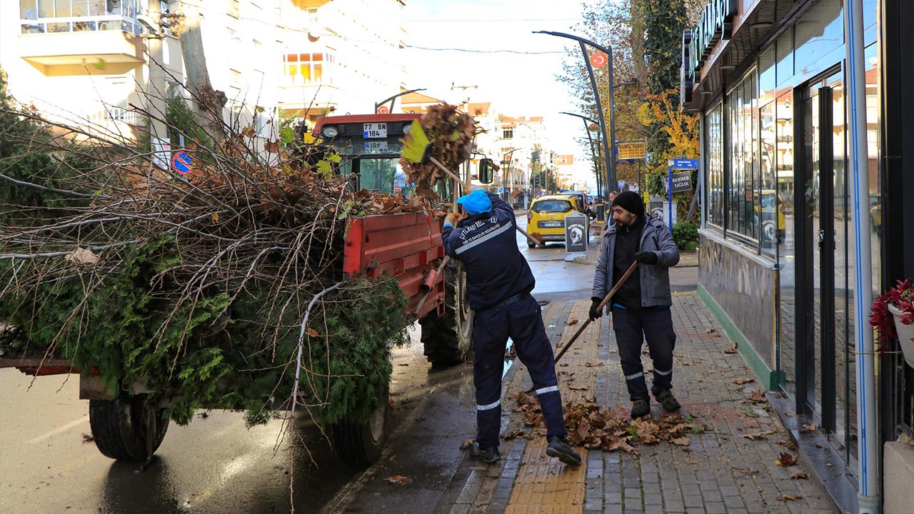 Yalova Ciftlikkoy Belediye Kis Agac Budama (2)