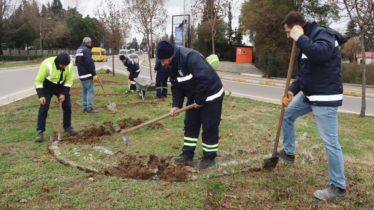 Yalova Peyzaj Budama Calisma (1)