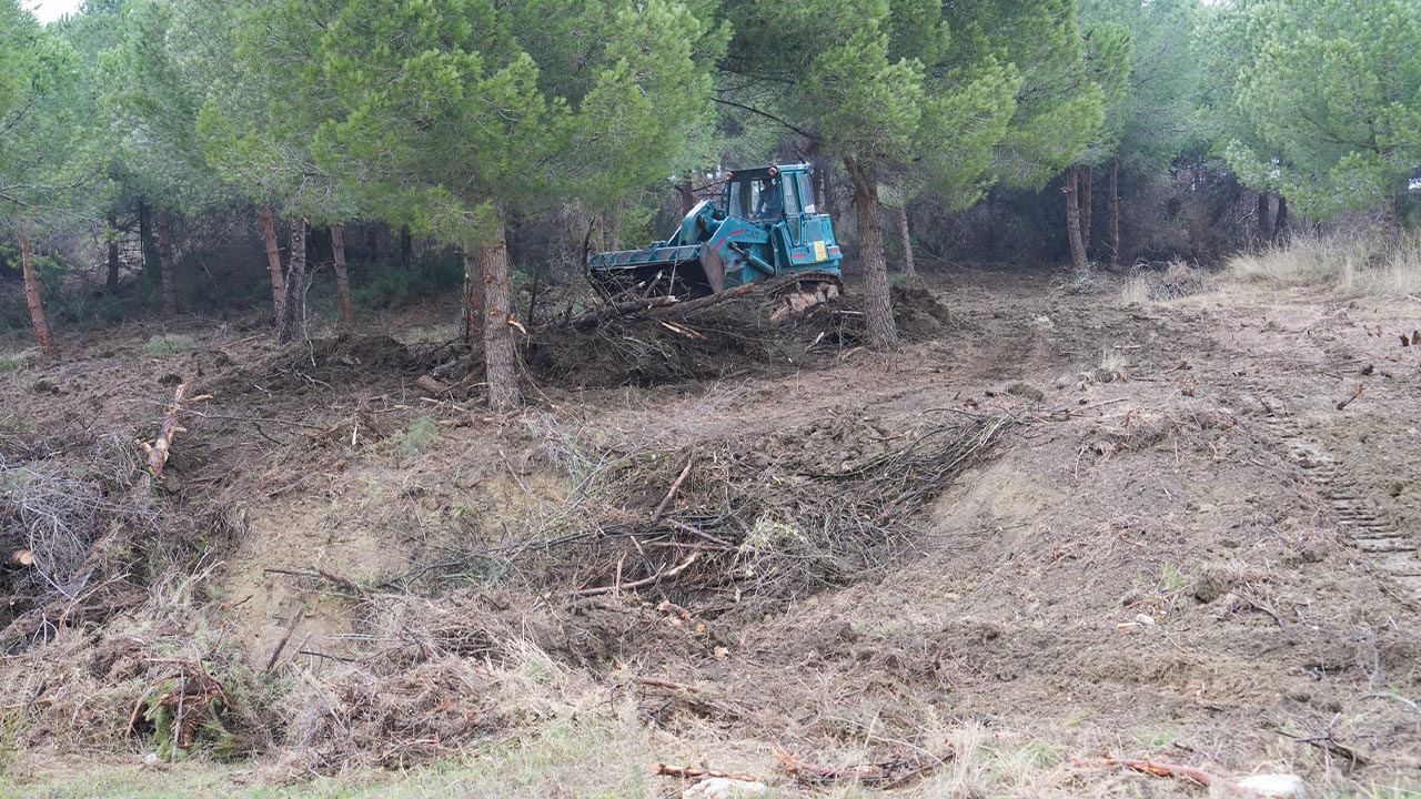 Yalova Universite Rektor Dsi Ekipler Merkez Kampus Ormanlik Alan Dere Yatagi Islah Temizlik Calisma (5)