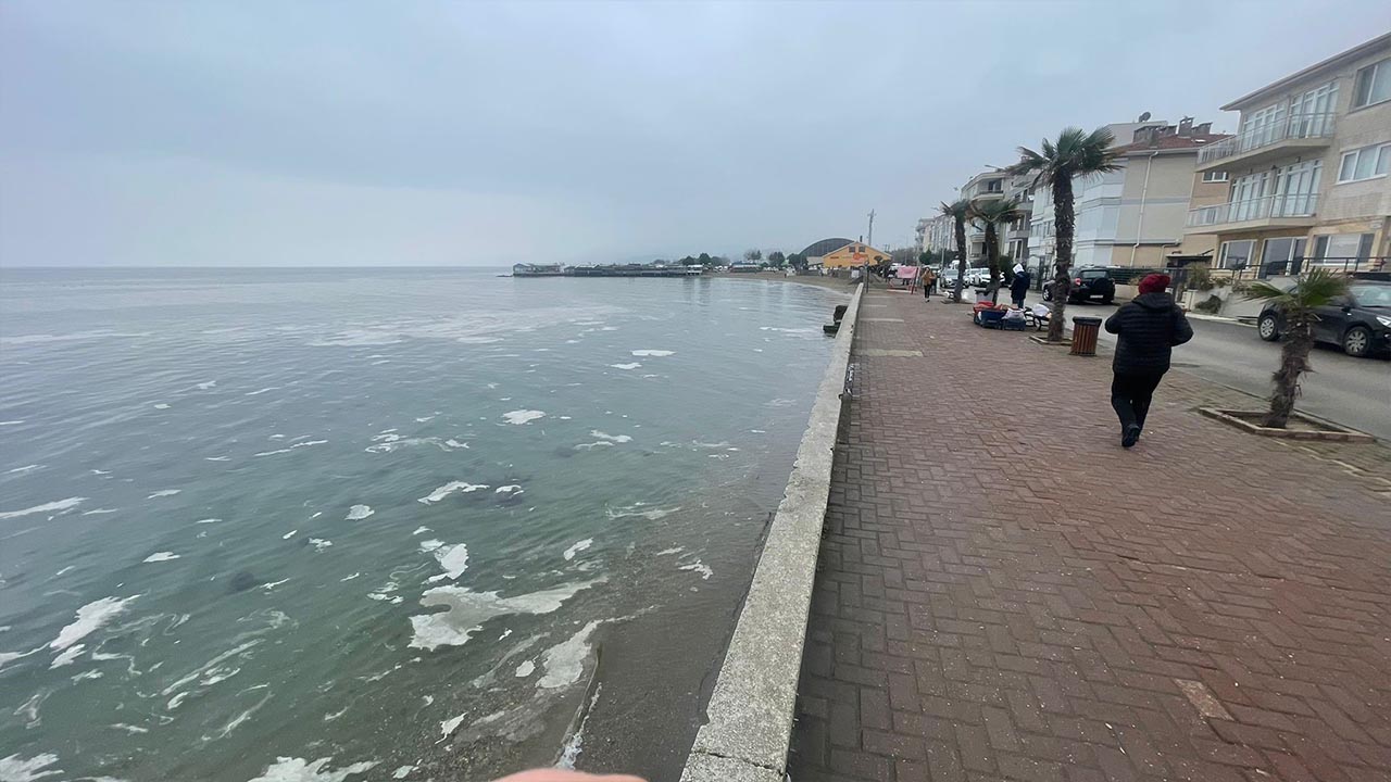 Yalova Marmara Deniz Musilaj Atik Uyari (2)