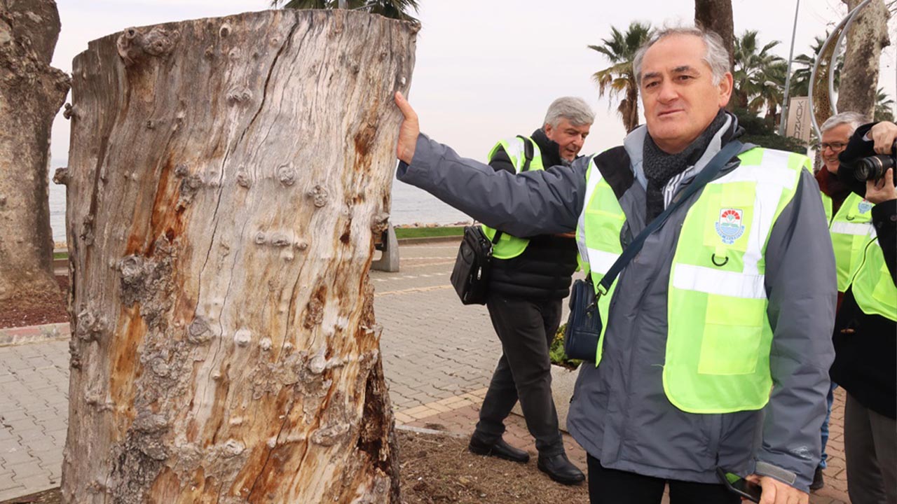 Yalova Belediye Tarihi Anit Inceleme (4)