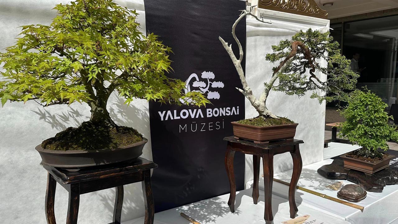 Yalova Bonsai Muze Il Genel Meclis Baskan Ziyaretci Aciklama (3)