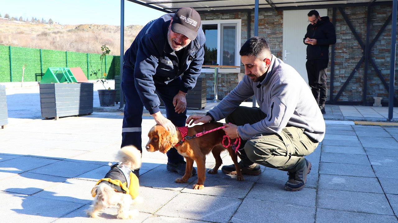 Yalova Ciftlikkoy Belediye Patili Dost (3)