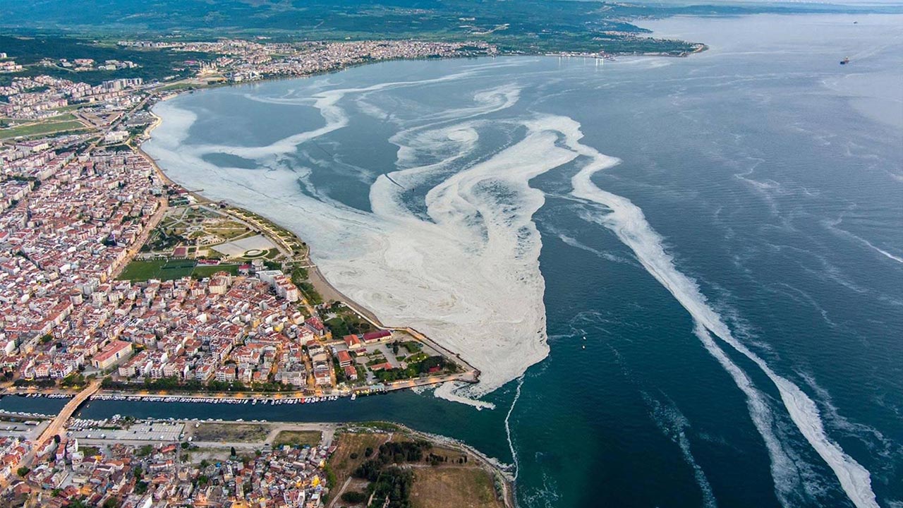 Yalova Kocaeli Musilaj Marmara Aritma Tesis (3)