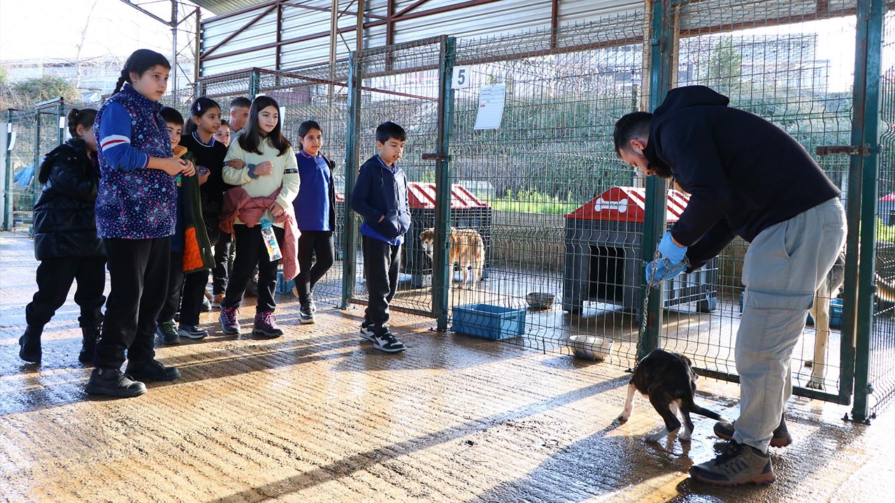 Yalova Ciftlikkoy Belediye Baskan Sokak Hayvan Bakimevi Cocuk Ziyaret (2)