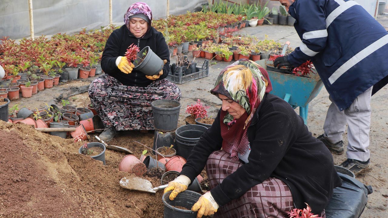 Yalova Ciftlikkoy Belediye Bitki Uruetim Tesis Kis Hazirlik (2)