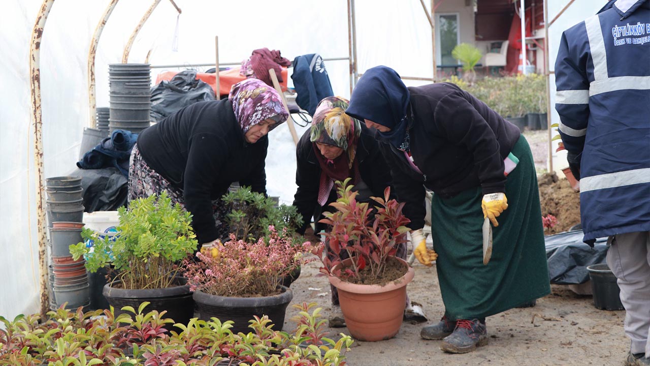 Yalova Ciftlikkoy Belediye Bitki Uruetim Tesis Kis Hazirlik (5)