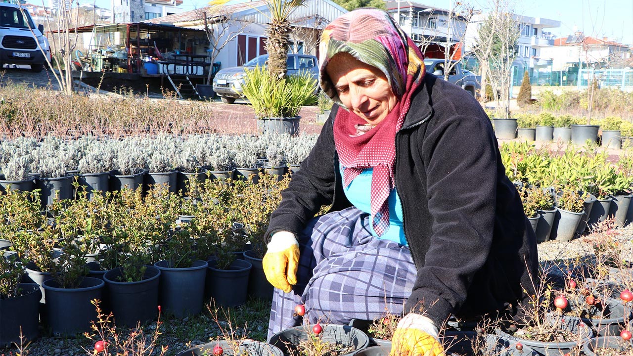 Yalova Ciftlikkoy Belediye Bitki Uruetim Tesis Kis Hazirlik (6)