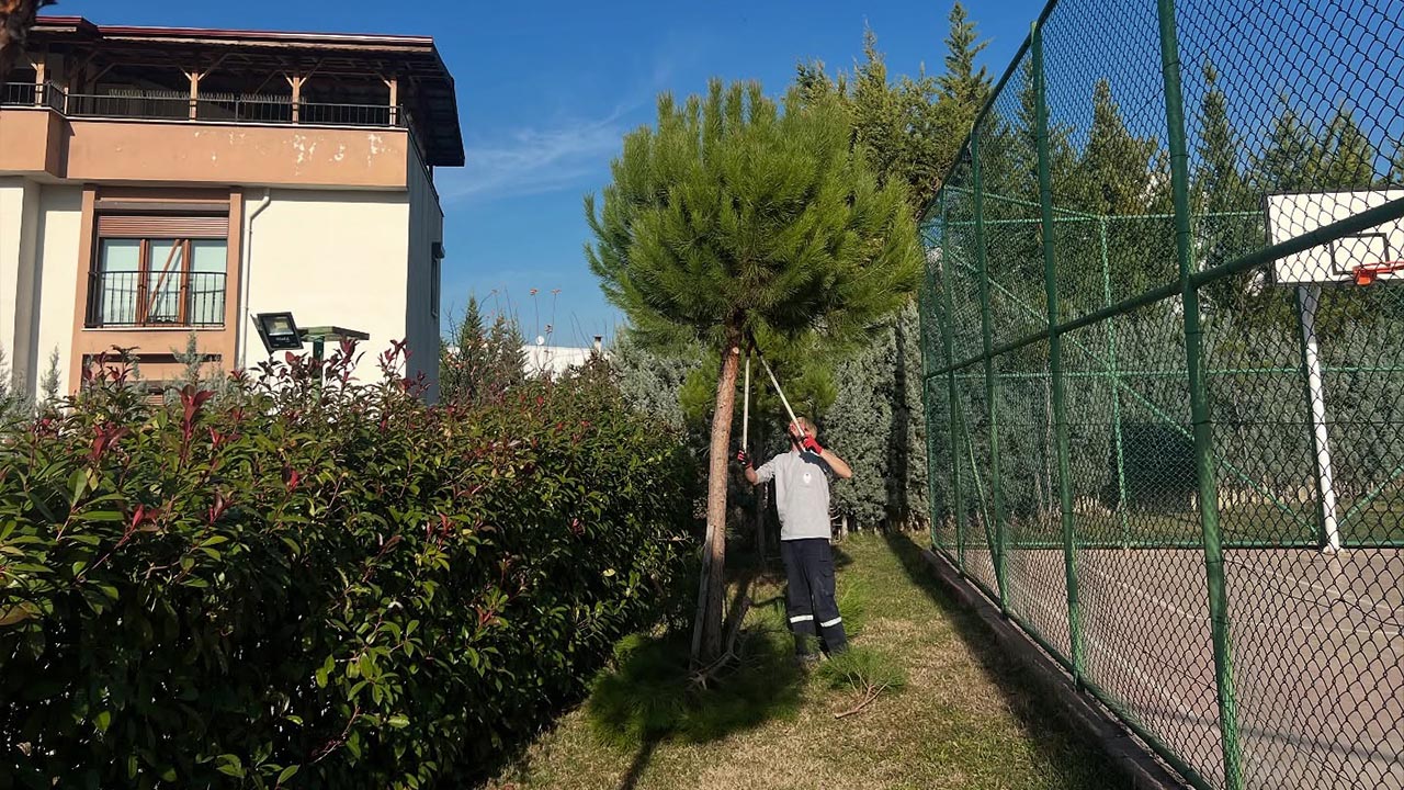 Yalova Kadikoy Belediye Park Bahce Temizlik (3)