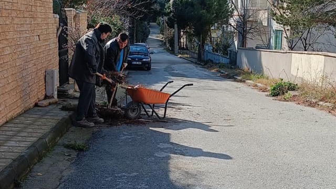 Yalova Yeni Mahalle Esenkoy Yol Temizlik (2)