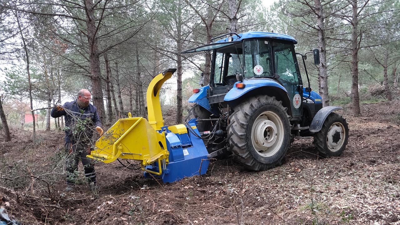 Yalova Altinova Belediye Doga Uyum Gubre Agac Budama (2)