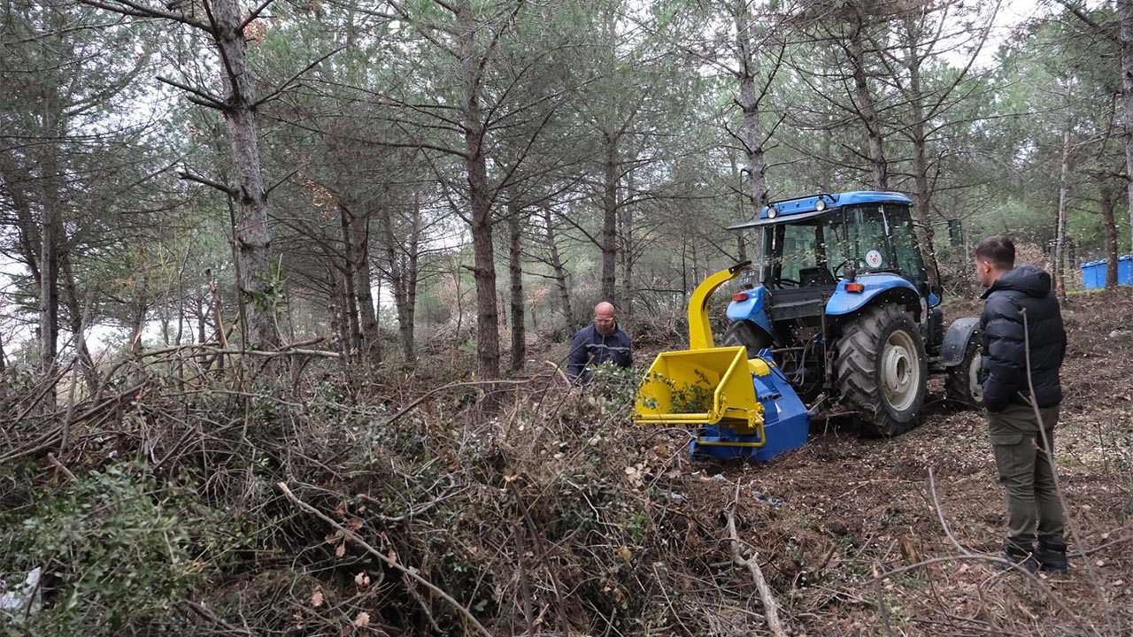 Yalova Altinova Belediye Doga Uyum Gubre Agac Budama (3)