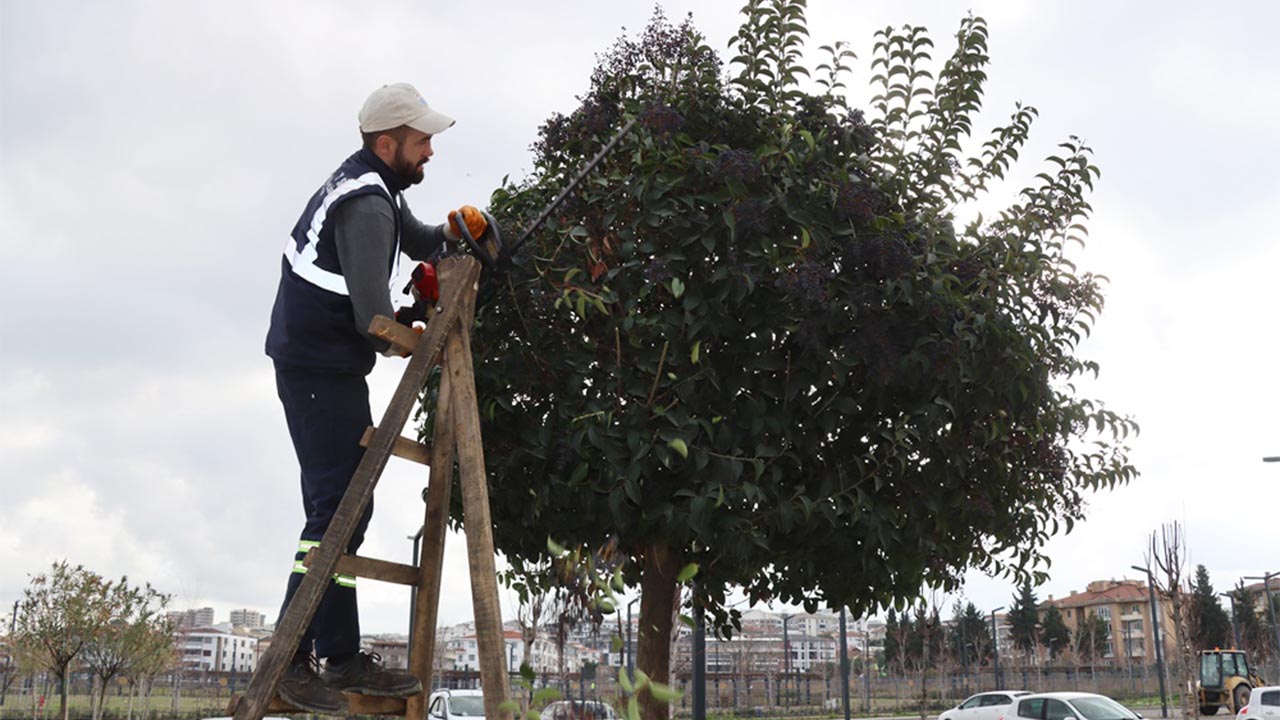 Yalova Belediye Mazgal Su Kanal Budama (3)