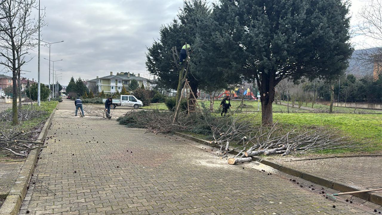 Yalova Belediye Park Bahceler Ekipler Pasakent Mahalle Agac Budama Calisma (2)