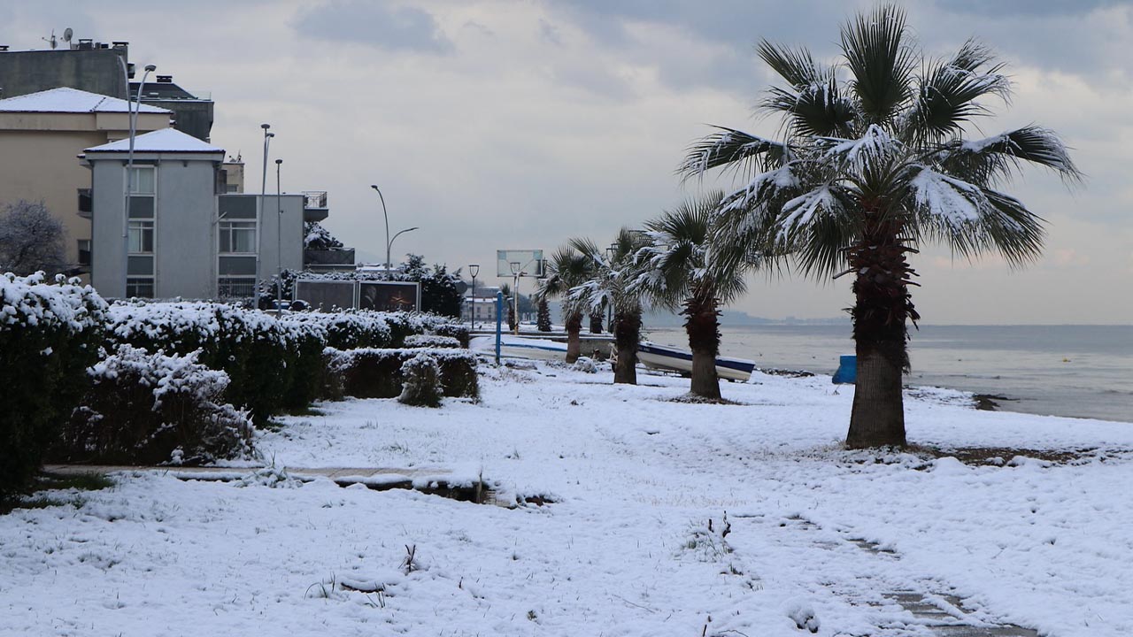 Yalova Ciftlikkoy Cocuk Genc Yetiskin Kar Eglence Yuruyus Keyif (1)