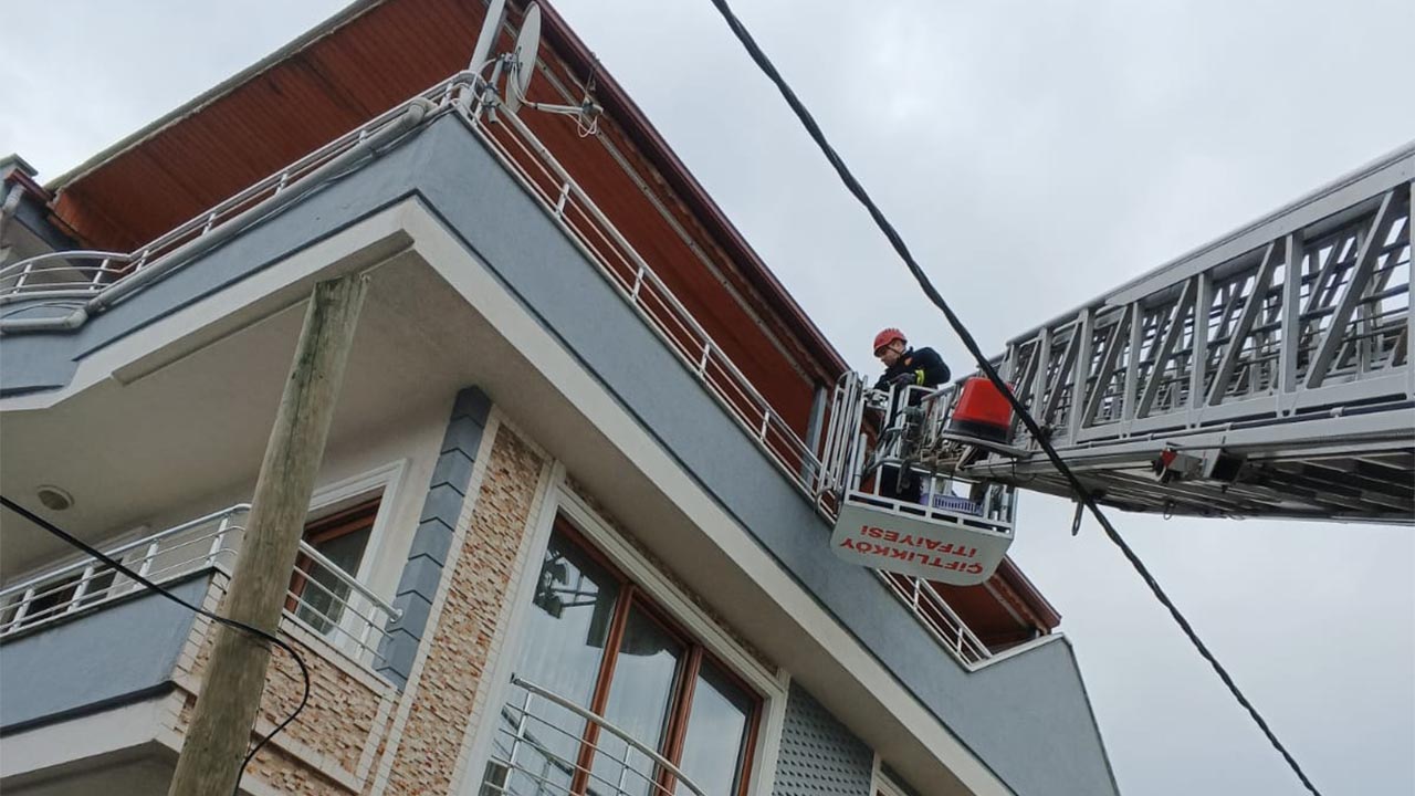 Yalova Ciftlikkoy Itfaiye Kedi Kopek Kurtarma (3)