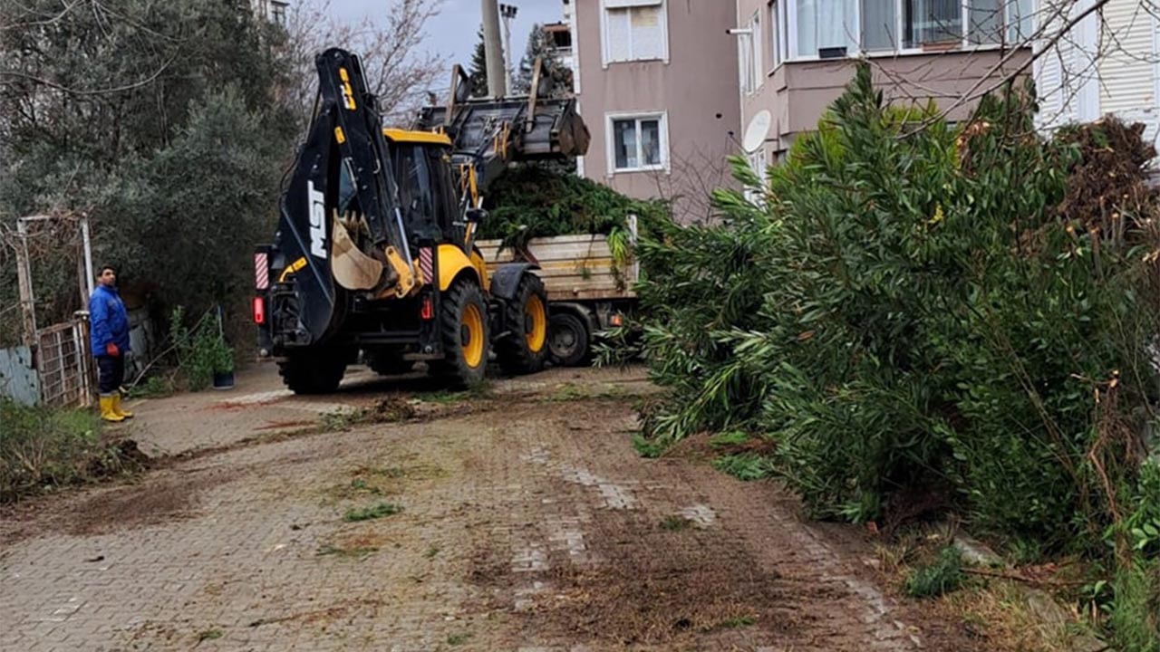 Yalova Cinarcik Belediye Temizlik Cevre (1)