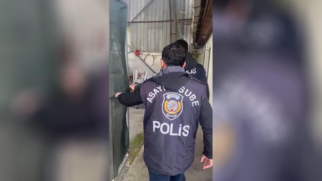 Yalova Istanbul Calinti Cek Vurgun Gozalti (2)