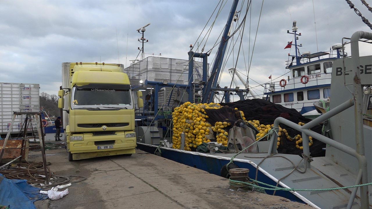 Yalova Kırlareli Igneada Deniz Hamsi Bolluk Balikci (2)