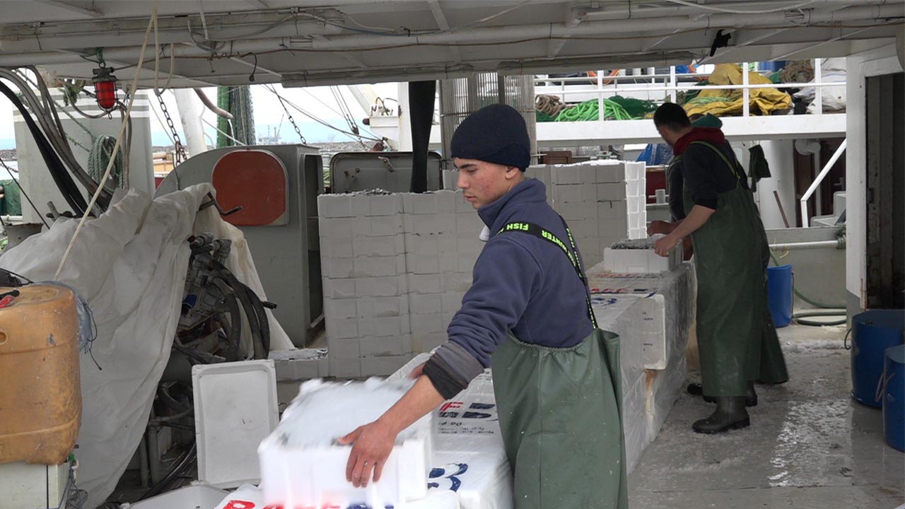 Yalova Kırlareli Igneada Deniz Hamsi Bolluk Balikci (5)