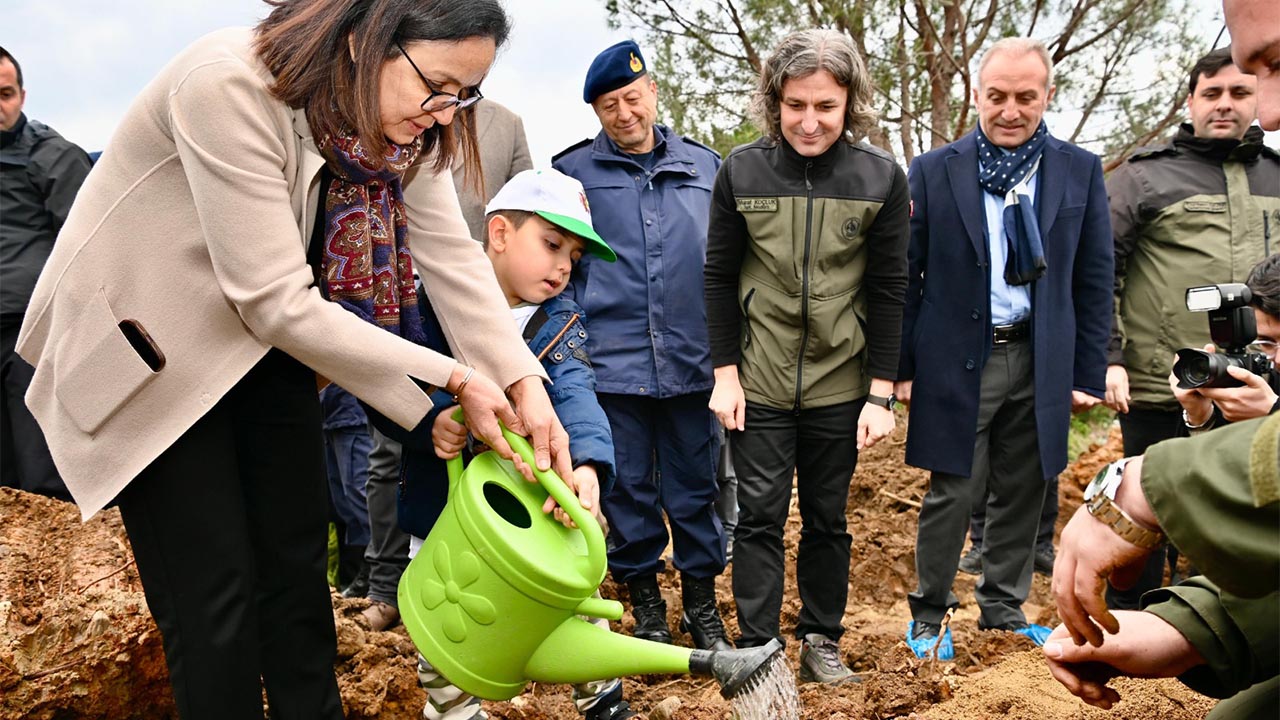 Yalova Armutlu Orman Agac Dikim Yangin (1)