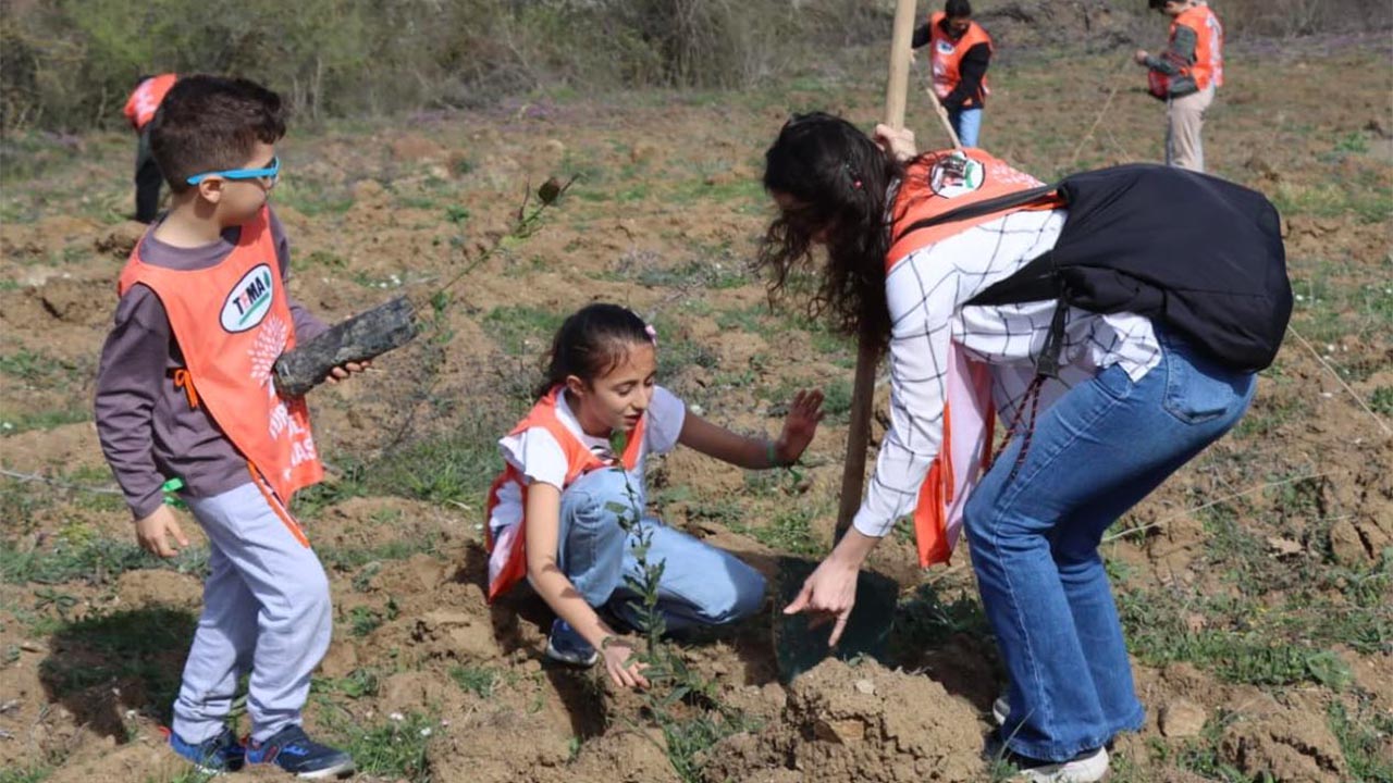 Yalova Toprak Dede Hatira Orman Fidan (3)