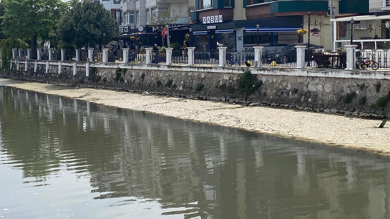 Yalova Deprem Deniz Cekilme Sahil Merkez Haber Gundem (1)