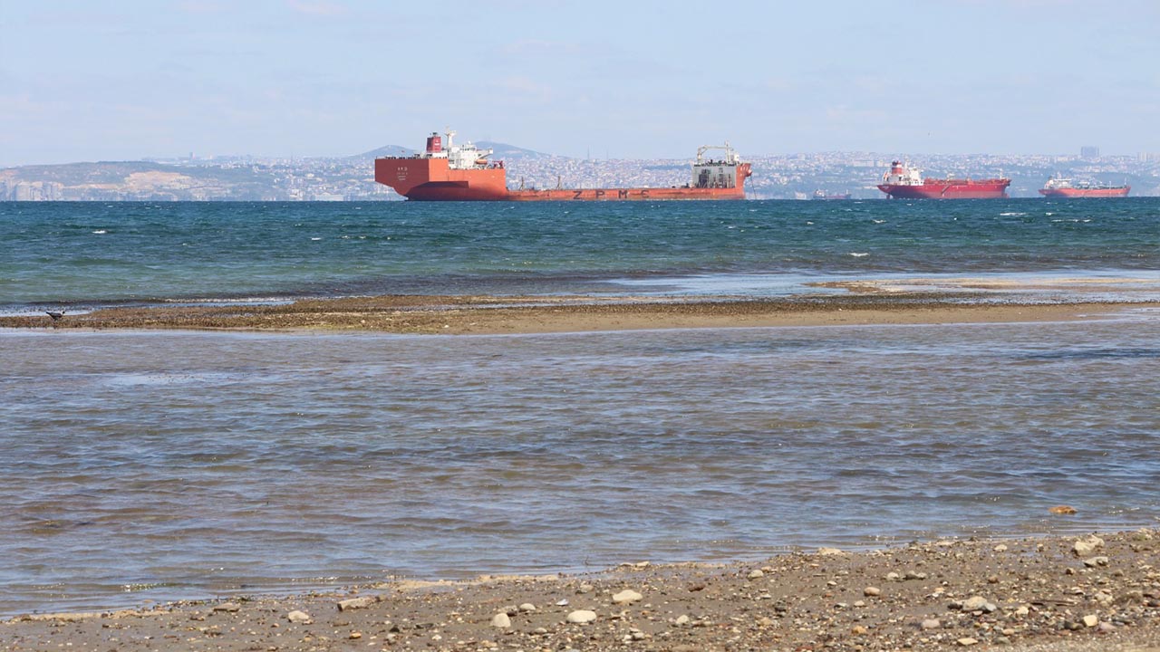 Yalova Deprem Deniz Cekilme Sahil Merkez Haber Gundem (5)
