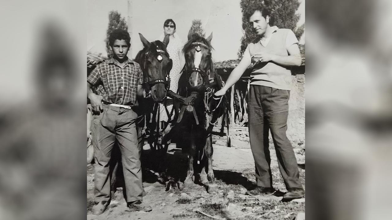 At Arabası