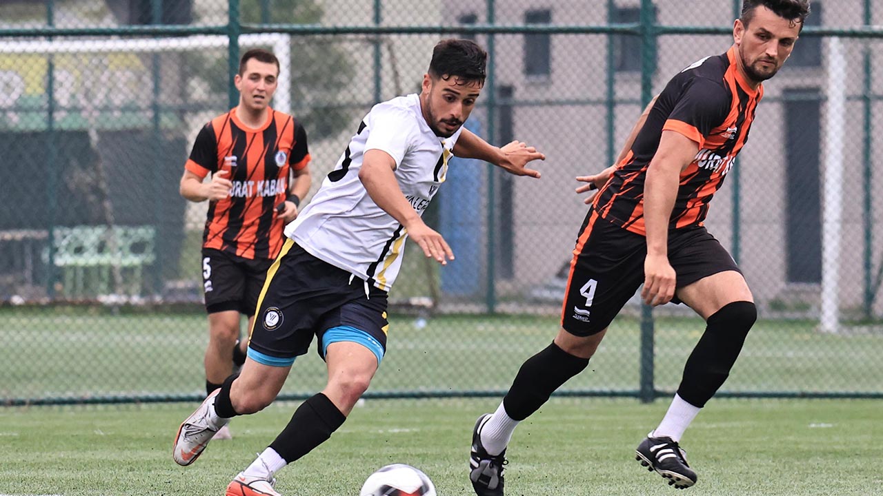 Altınova Şampi Gibi (2)