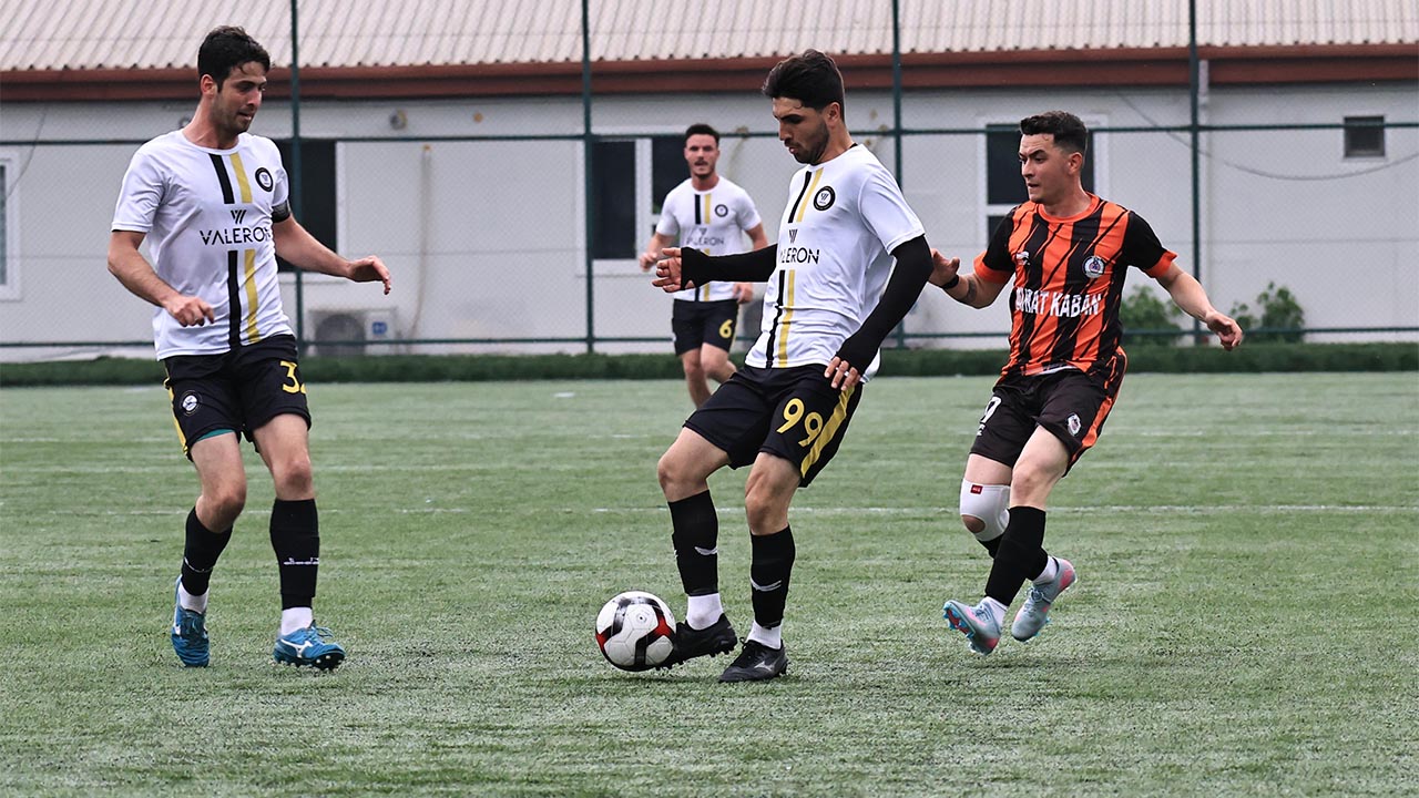 Altınova Şampi Gibi (4)