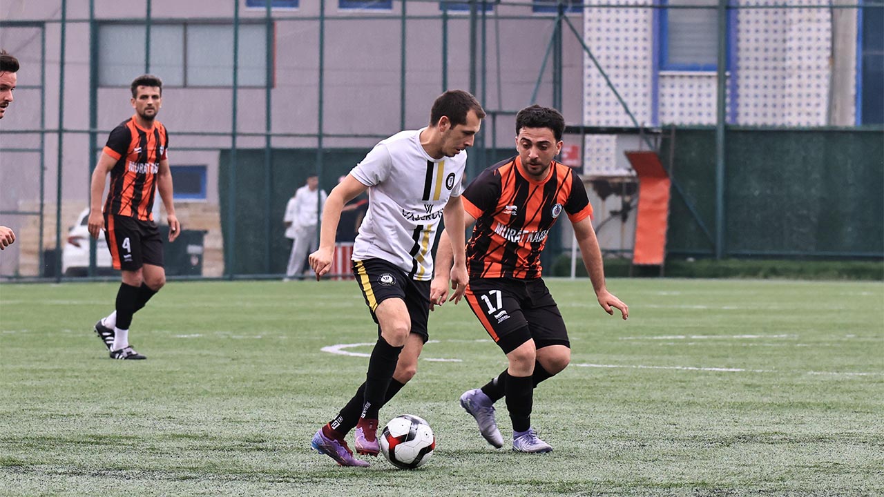 Altınova Şampi Gibi (7)