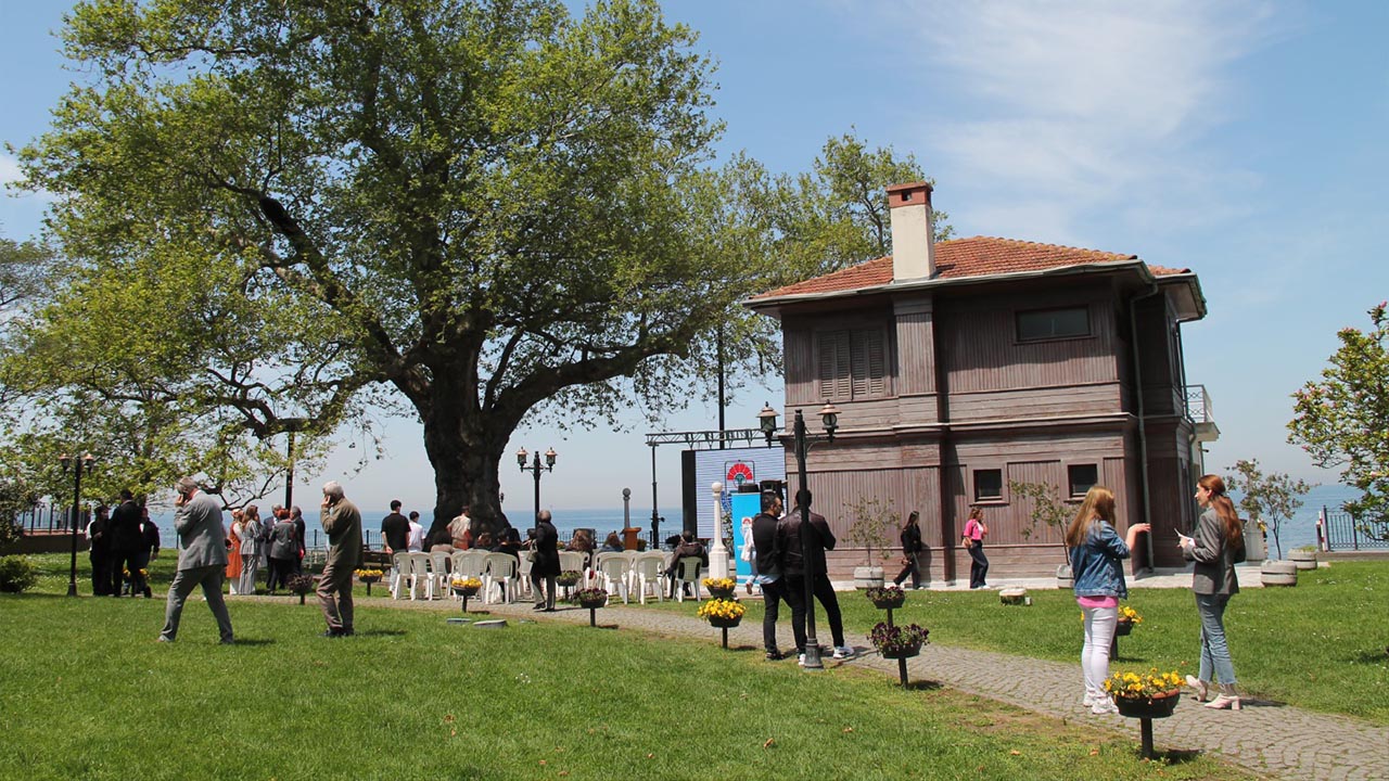 Yalova Anit Agac Yuruyen Kosk Haber Gazete Manset (2)