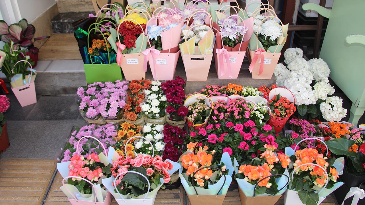Yalova Anneler Gunu Cicek Garden Haber Gazete (11)