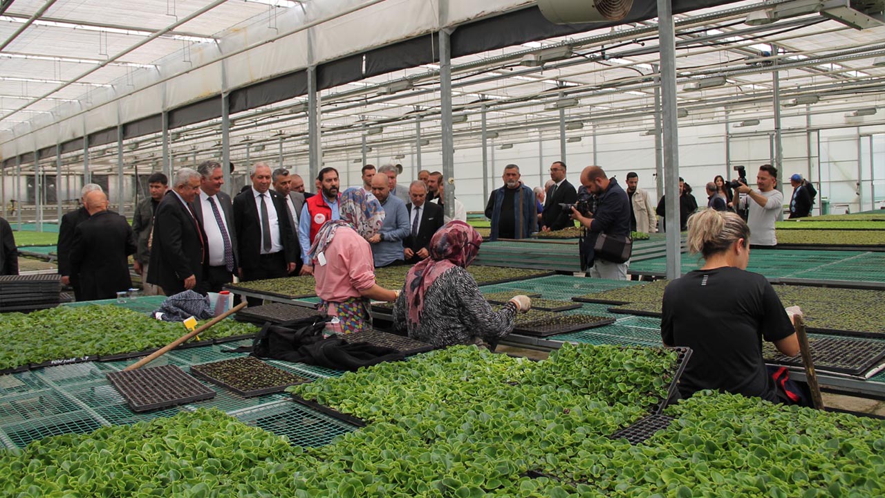 Yalova Ciftci Gun Ata Tohum Sebze Fide Dagitim (8)